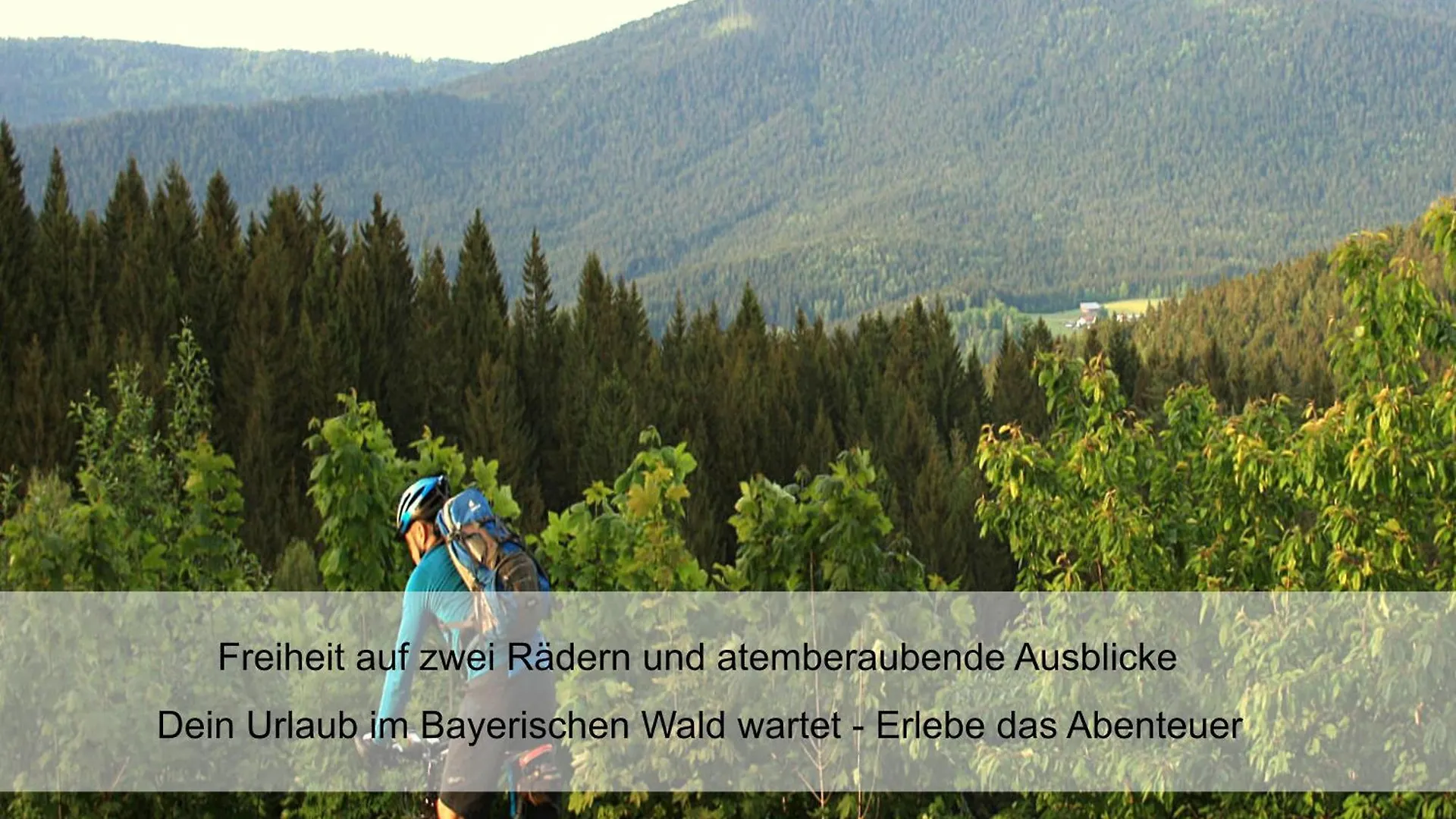 Garnihotel Zur Linde - Bayerischer Wald - Aktivcard Mit 154 Kostenfreien Leistungen - Kostenloser Parkplatz Lohberg Hotel