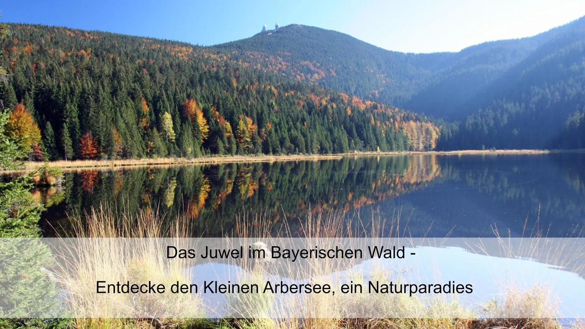 Garnihotel Zur Linde - Bayerischer Wald - Aktivcard Mit 154 Kostenfreien Leistungen - Kostenloser Parkplatz Lohberg 3*,