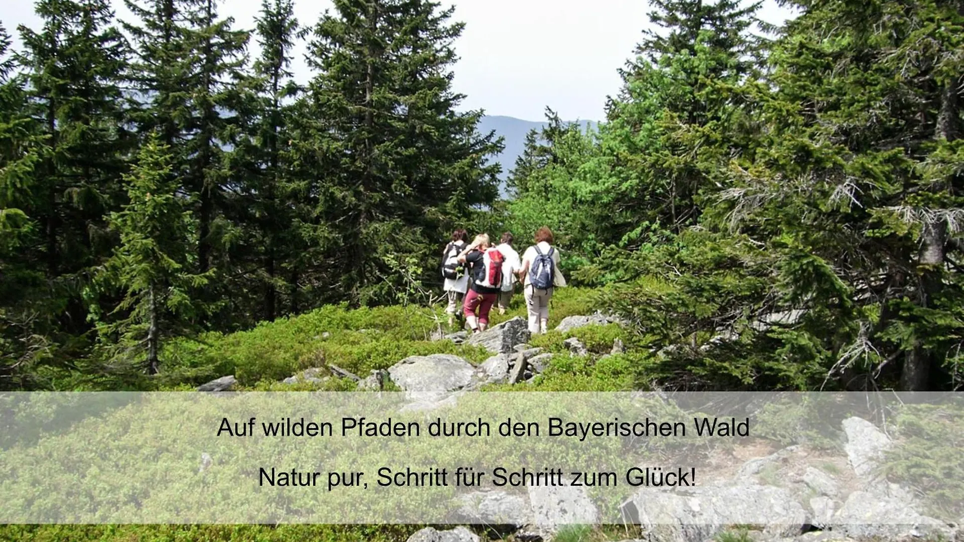 Garnihotel Zur Linde - Bayerischer Wald - Aktivcard Mit 154 Kostenfreien Leistungen - Kostenloser Parkplatz Лоберг 3*,  Германия