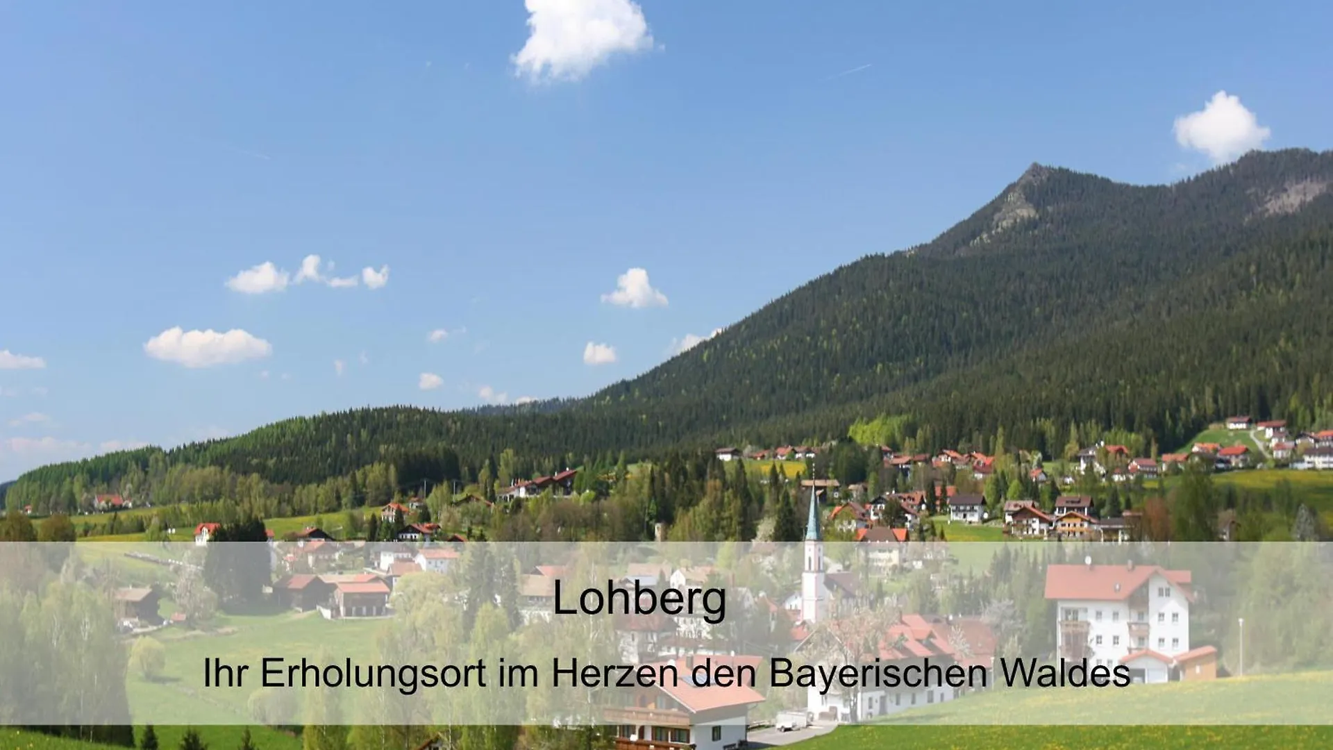 Garnihotel Zur Linde - Bayerischer Wald - Aktivcard Mit 154 Kostenfreien Leistungen - Kostenloser Parkplatz Lohberg 3*,